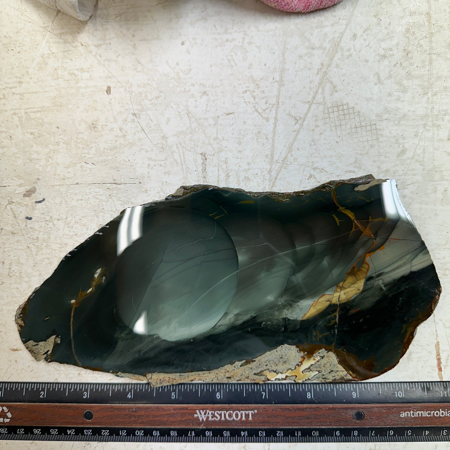 BLUE MOUNTAIN JASPER Polished Specimen Slab - 379 grams