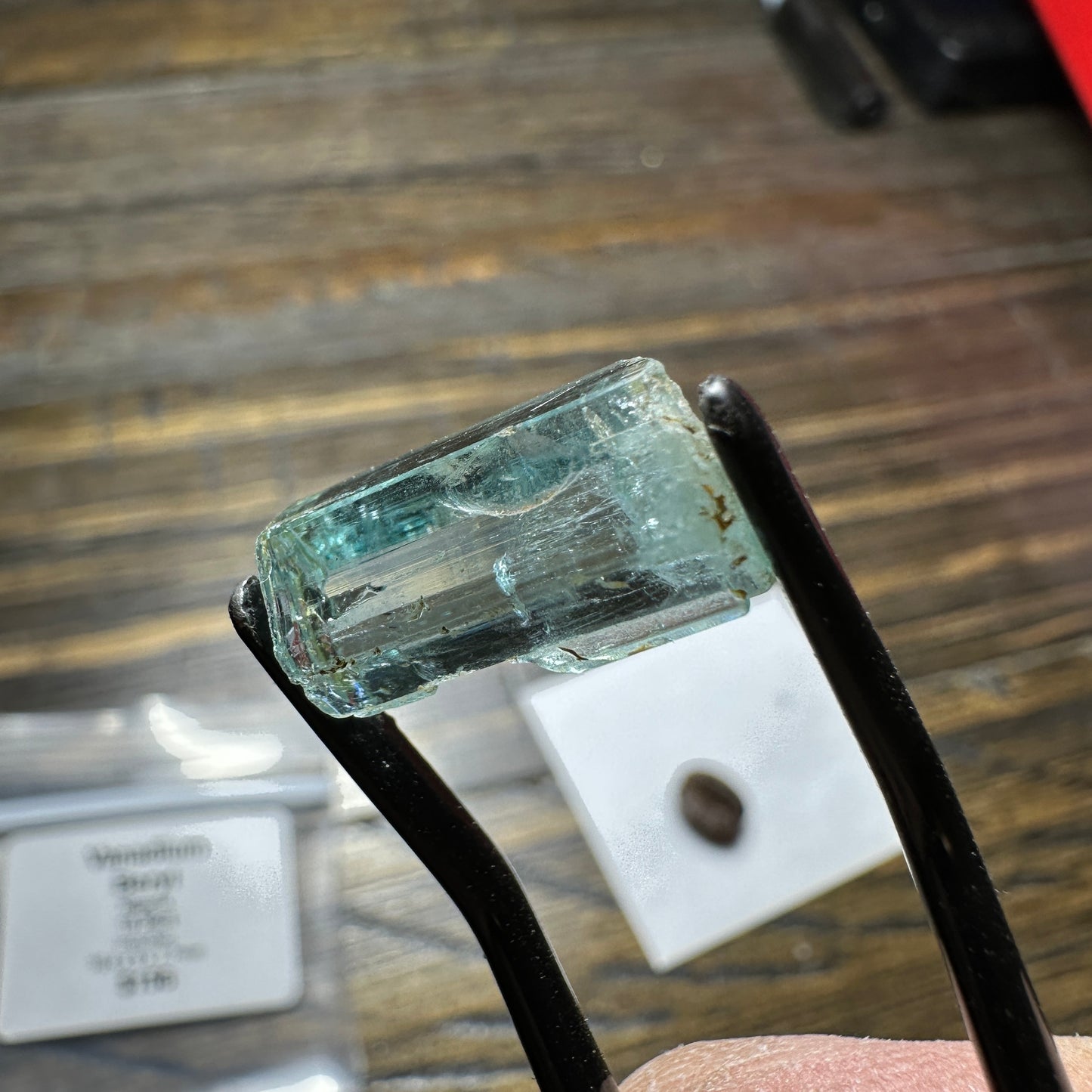 10.36ct VANADIUM BERYL Facet Rough