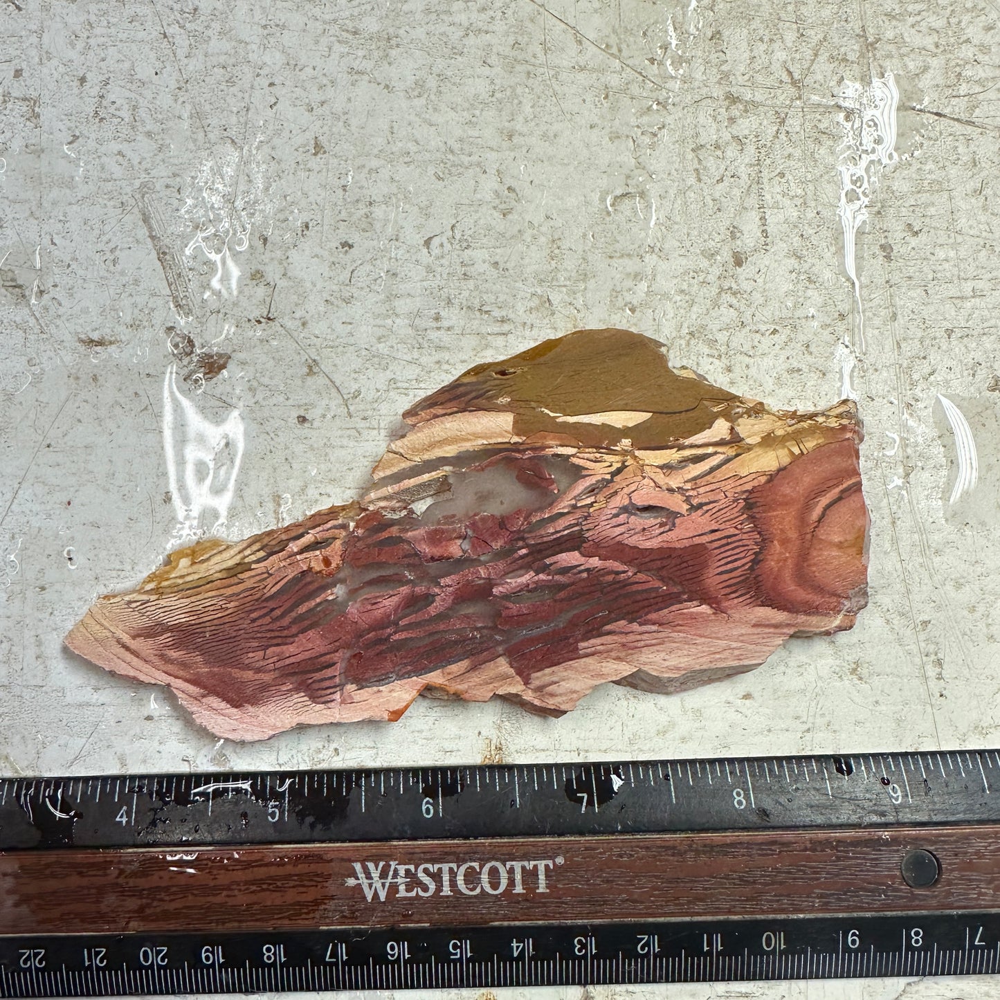 SUNSET HOWARDITE Slab - 73 grams