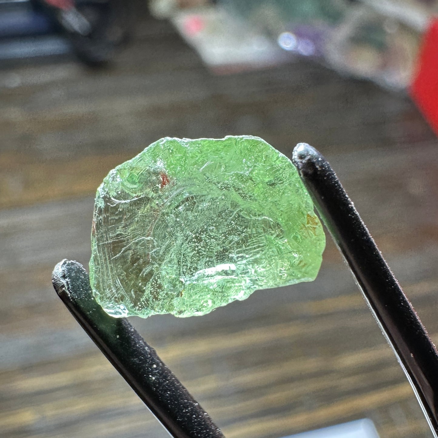 8.23ct GREEN DRAGON GARNET Facet Rough