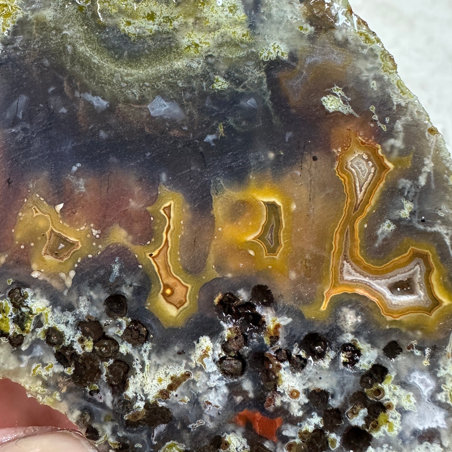 AGUA NUEVA AGATE Rough - 0.45 Pounds