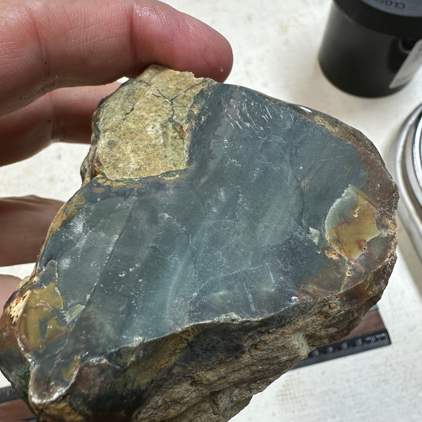 BLUE MOUNTAIN JASPER Rough - 0.99 Pounds