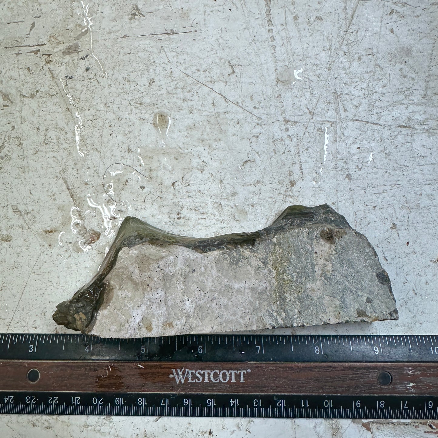 MORRISONITE JASPER Faced Rough - 0.67 Pounds