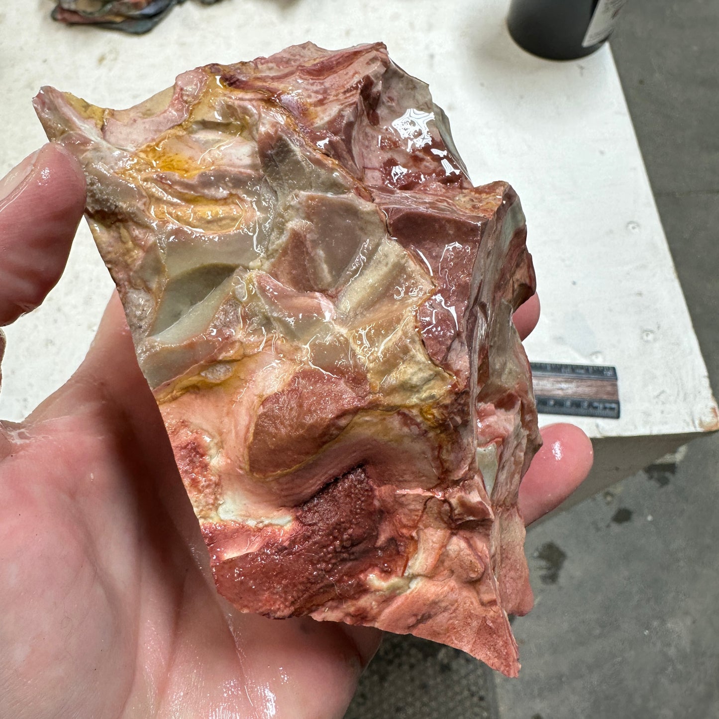 WINDY MOUNTAIN JASPER Faced Rough - 1.66 Pounds