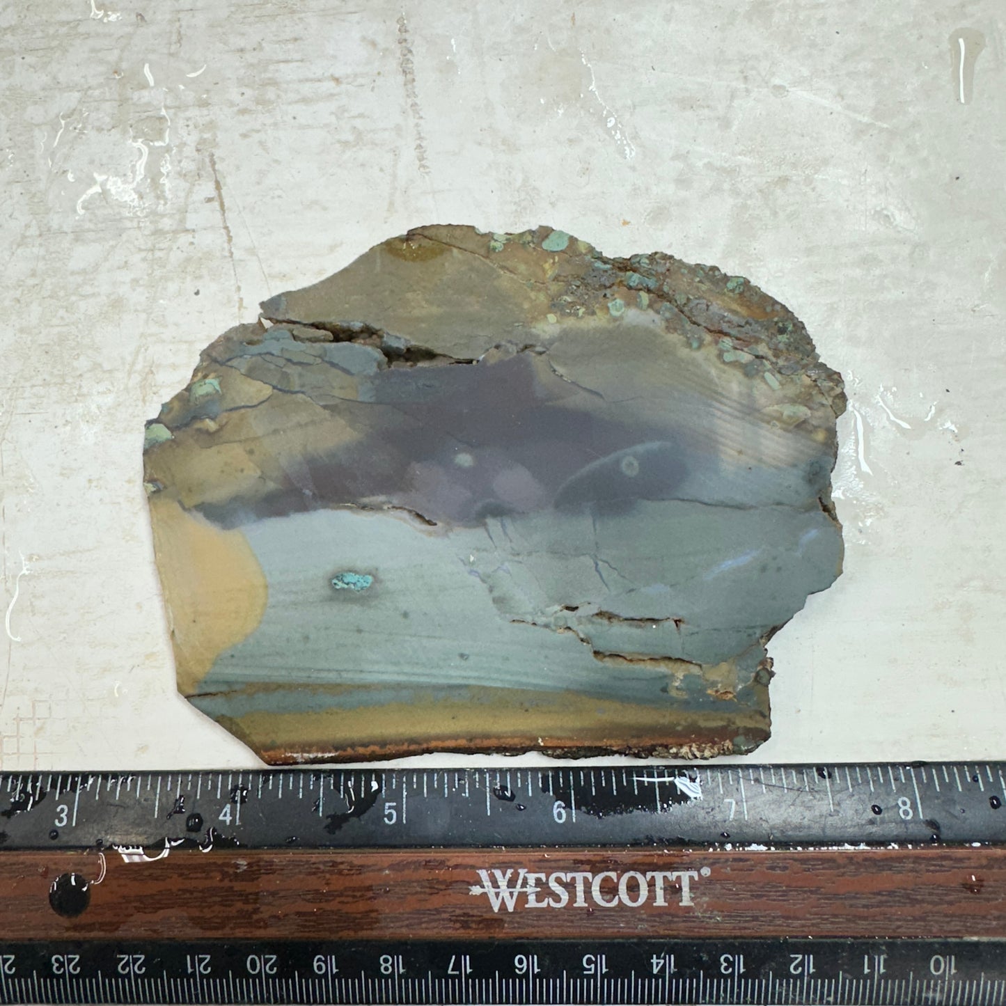 ECHO RIDGE JASPER Slab - 116 grams