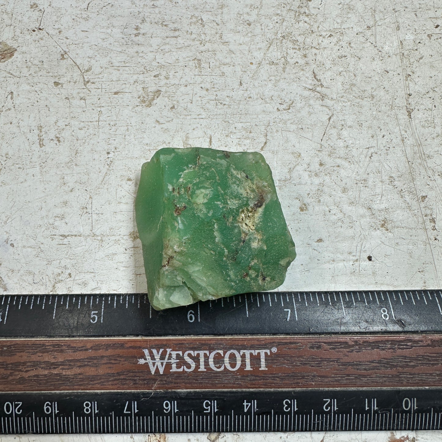 Tanzanian CHRYSOPRASE Rough 50.7 grams