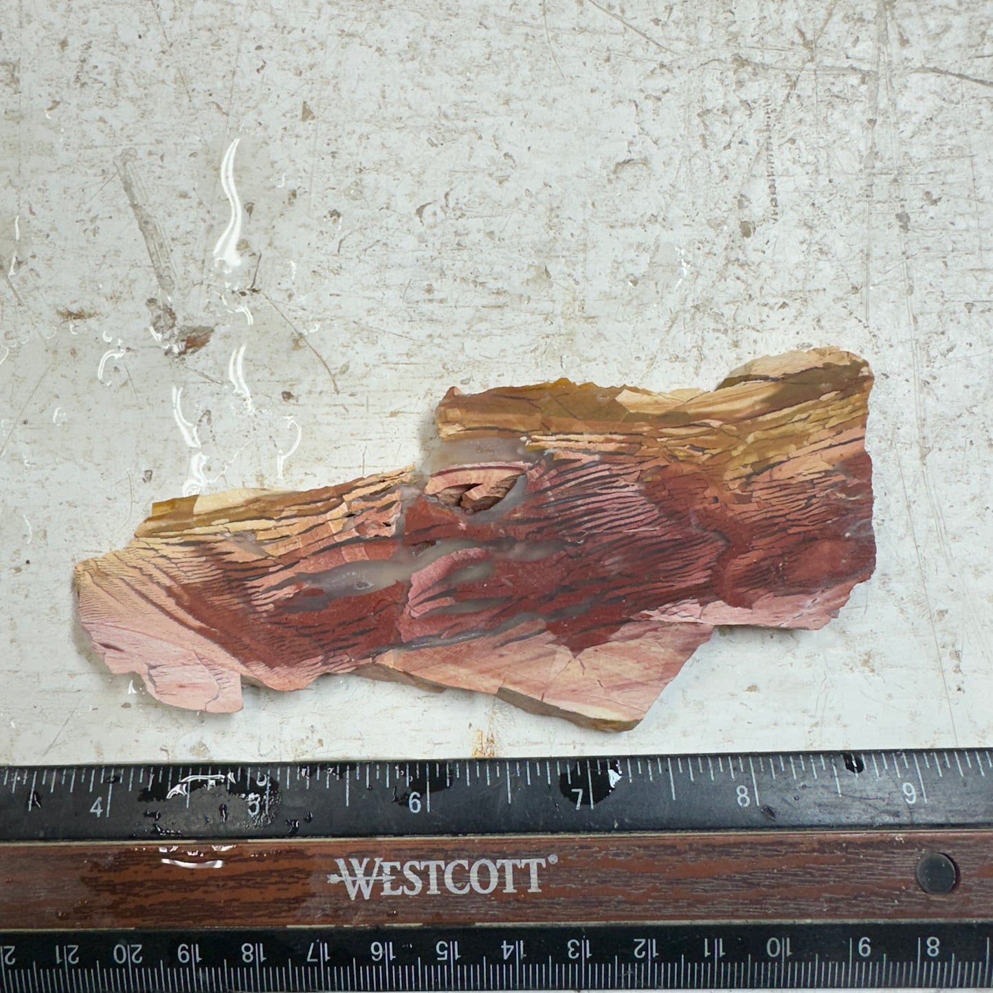 SUNSET HOWARDITE Slab - 62 grams