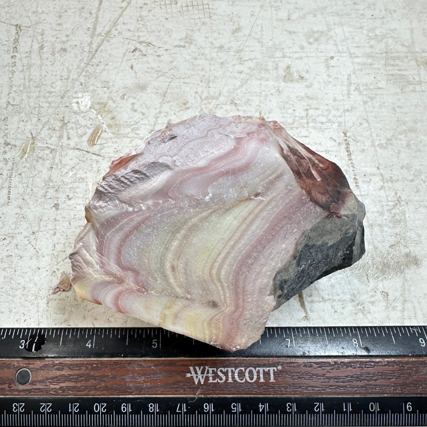 WINDY MOUNTAIN AGATE Rough - 1.04 Pounds