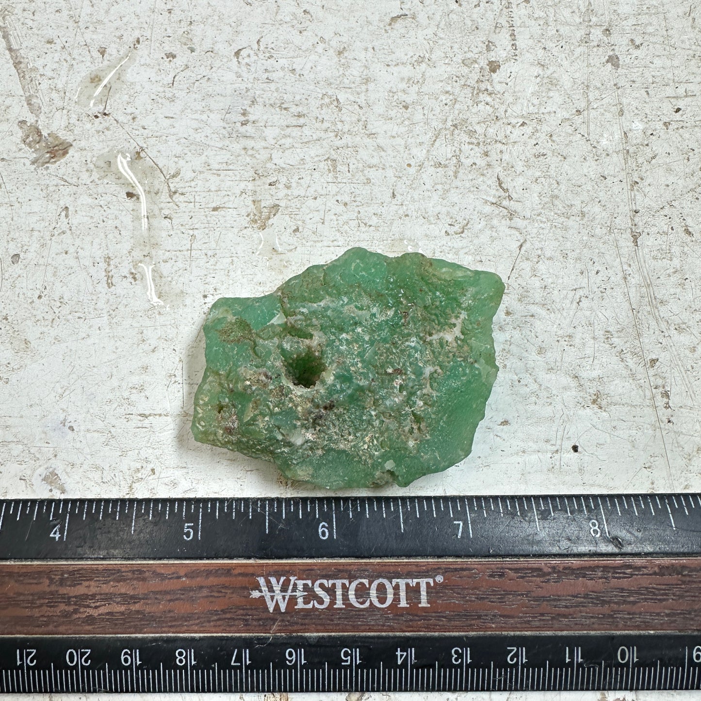 Tanzanian CHRYSOPRASE Rough 54.9 grams