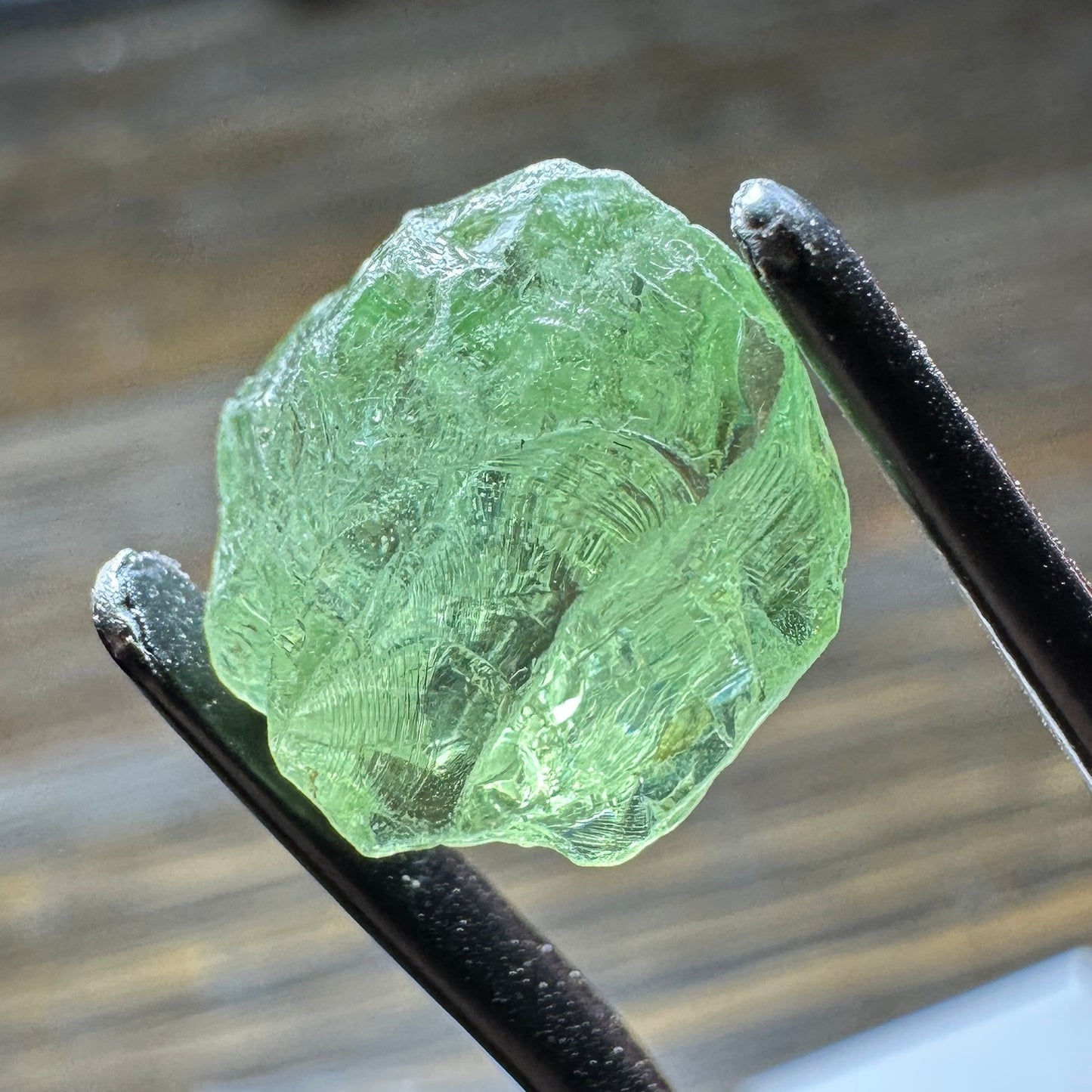 8.51ct GREEN DRAGON GARNET Facet Rough