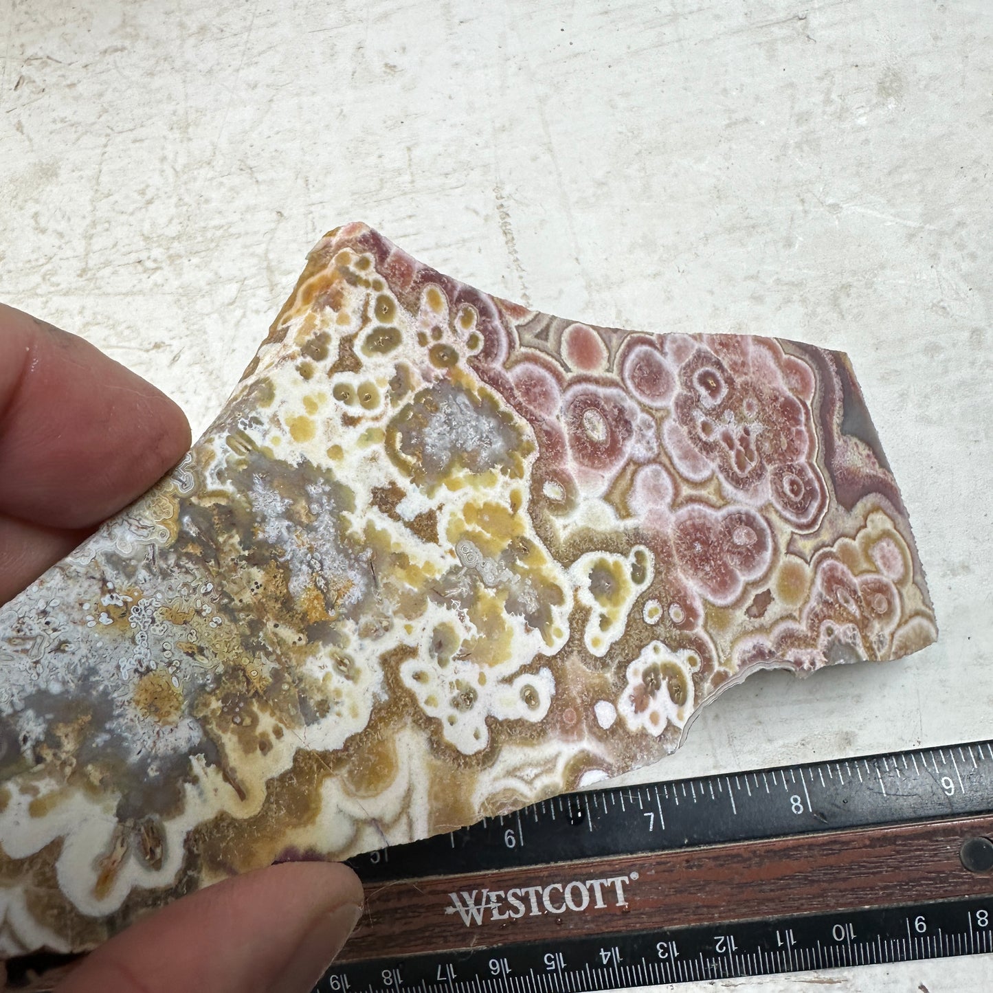 CRAZY LACE AGATE Slab - 175 grams