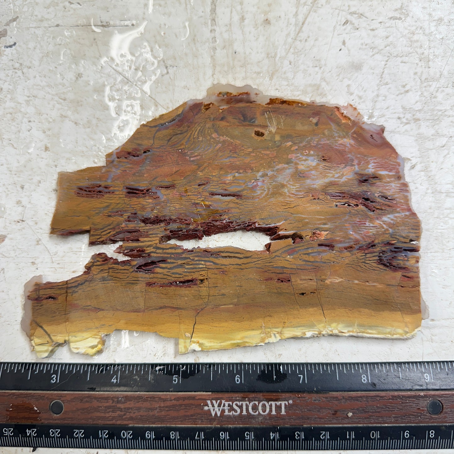 HOWARDITE Slab - 210 grams