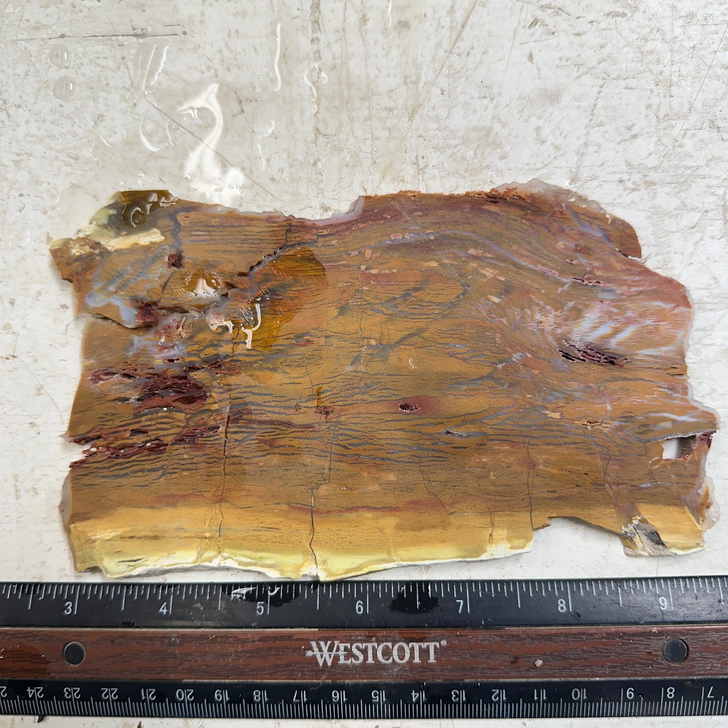 HOWARDITE Slab - 220 grams