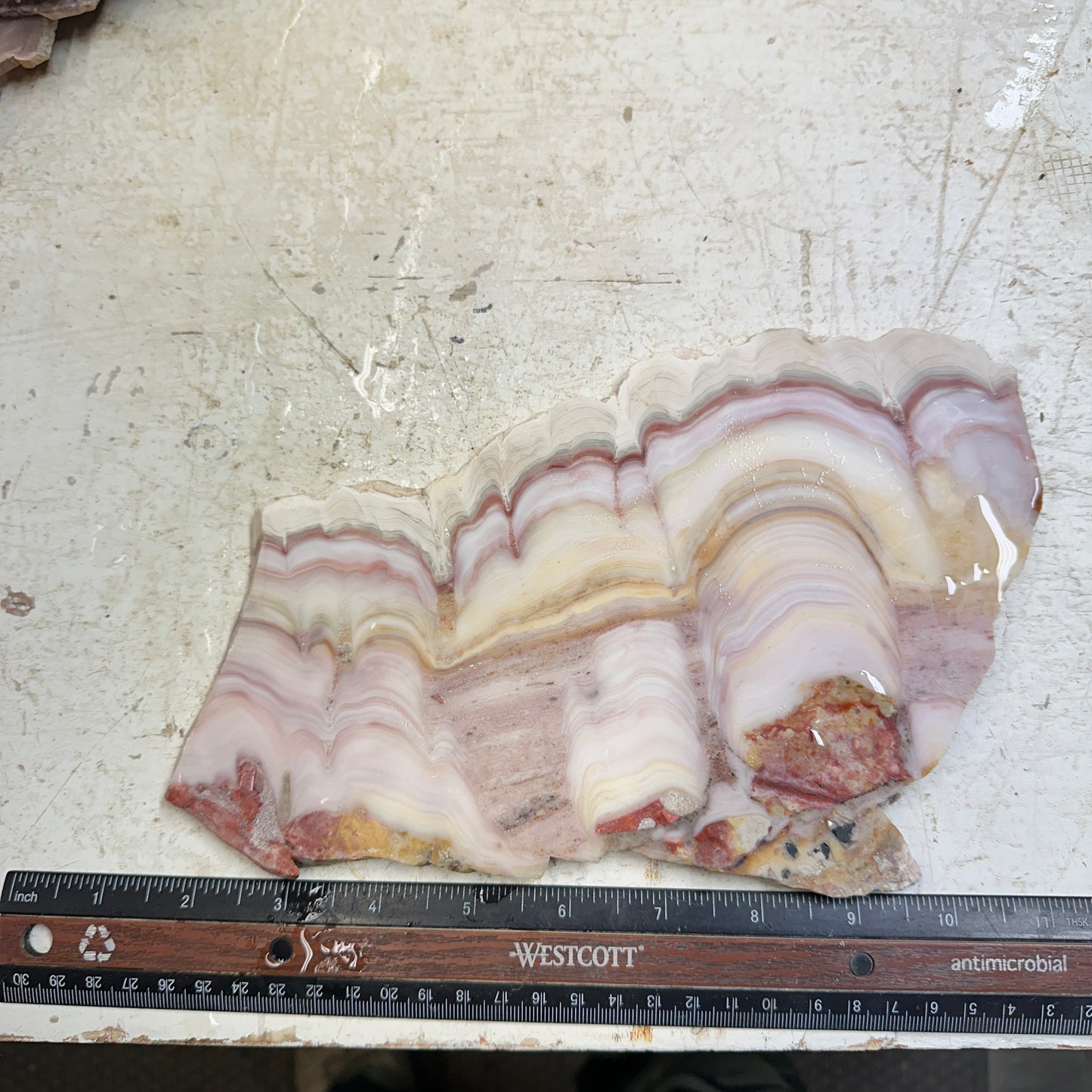 WINDY MOUNTAIN AGATE Slab - 535 grams