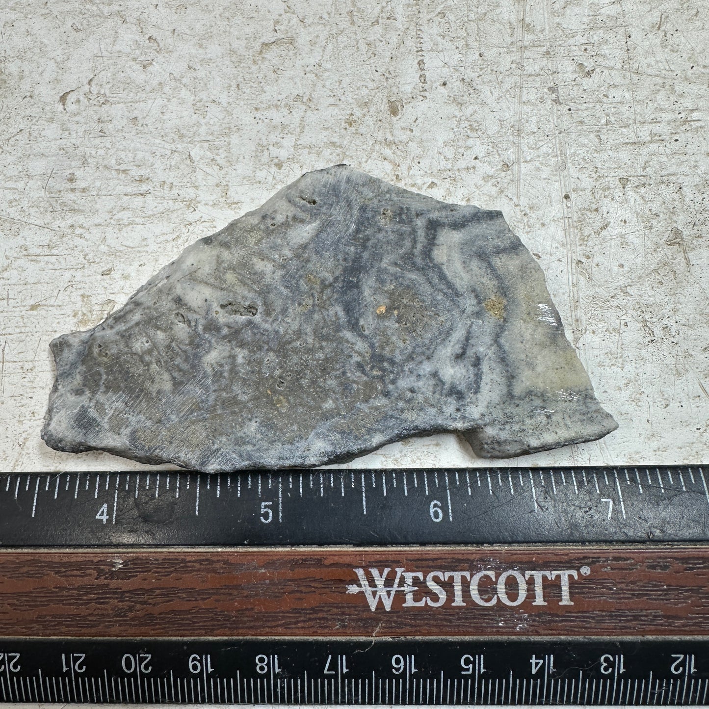 GOLD IN QUARTZ Slab - 35.8 grams