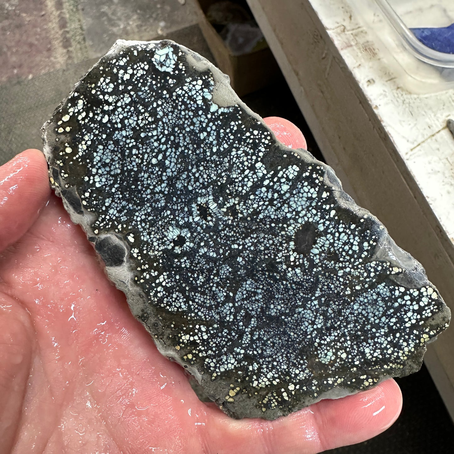 VISTA GRANDE VARISCITE Thick Slab - 198 grams