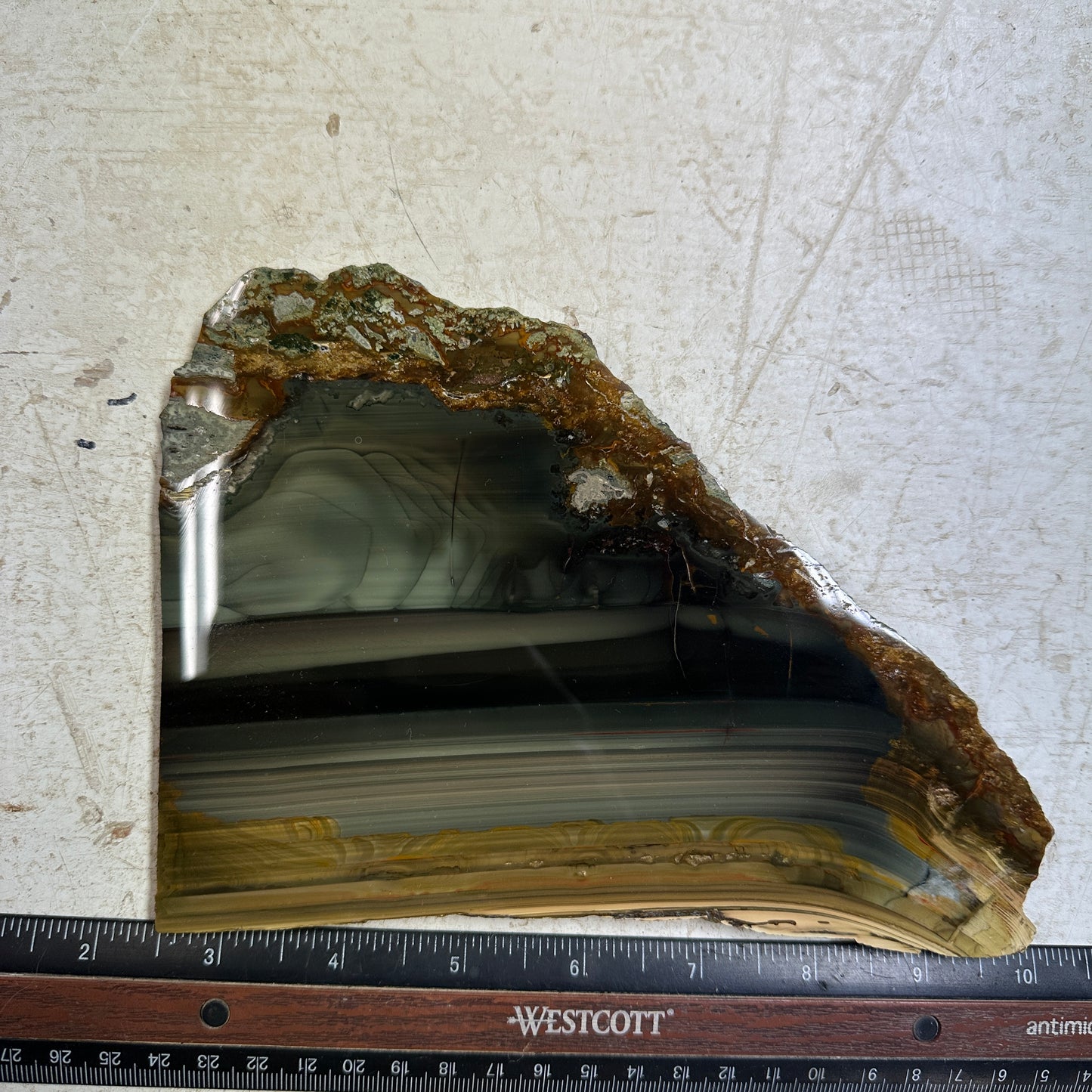 BLUE MOUNTAIN JASPER Polished Specimen Slab - 340 grams