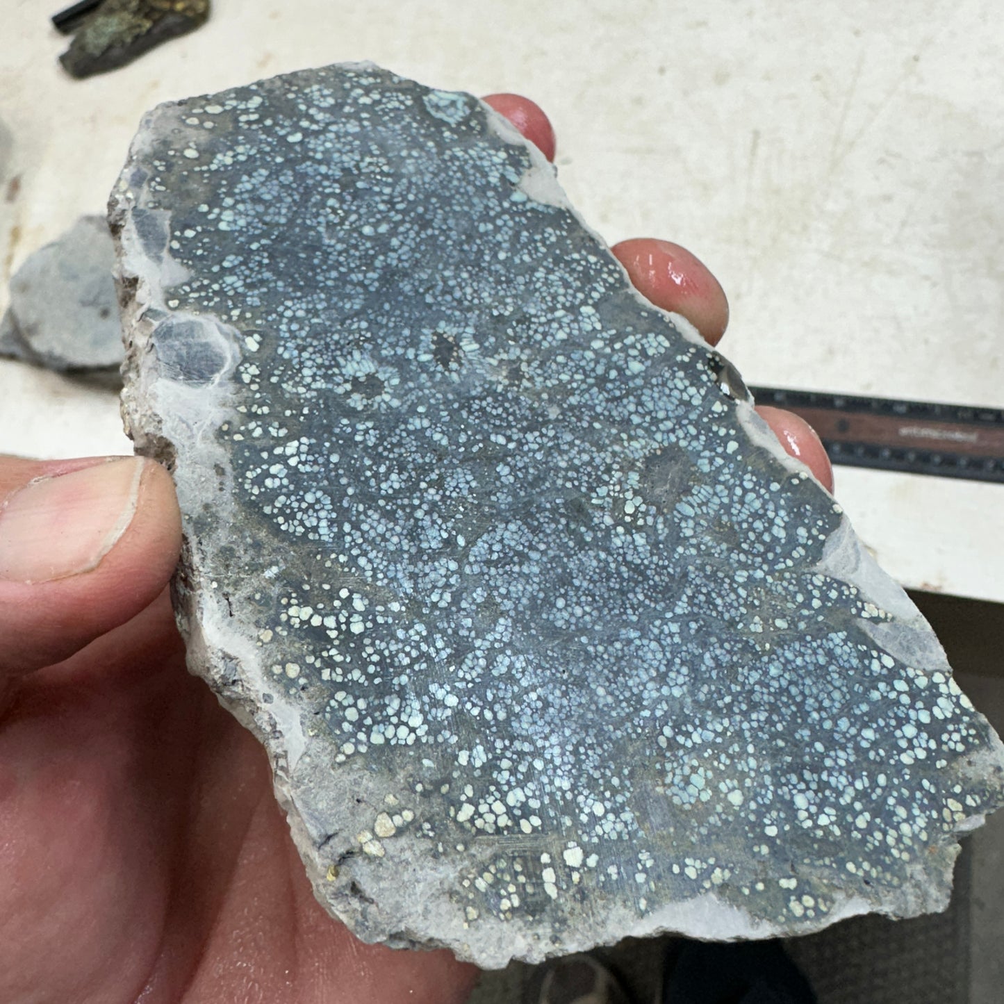 VISTA GRANDE VARISCITE Thick Slab - 198 grams