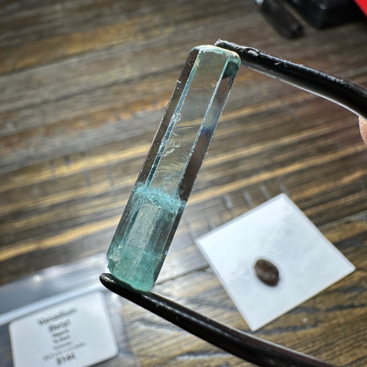 9.54ct VANADIUM BERYL Facet Rough