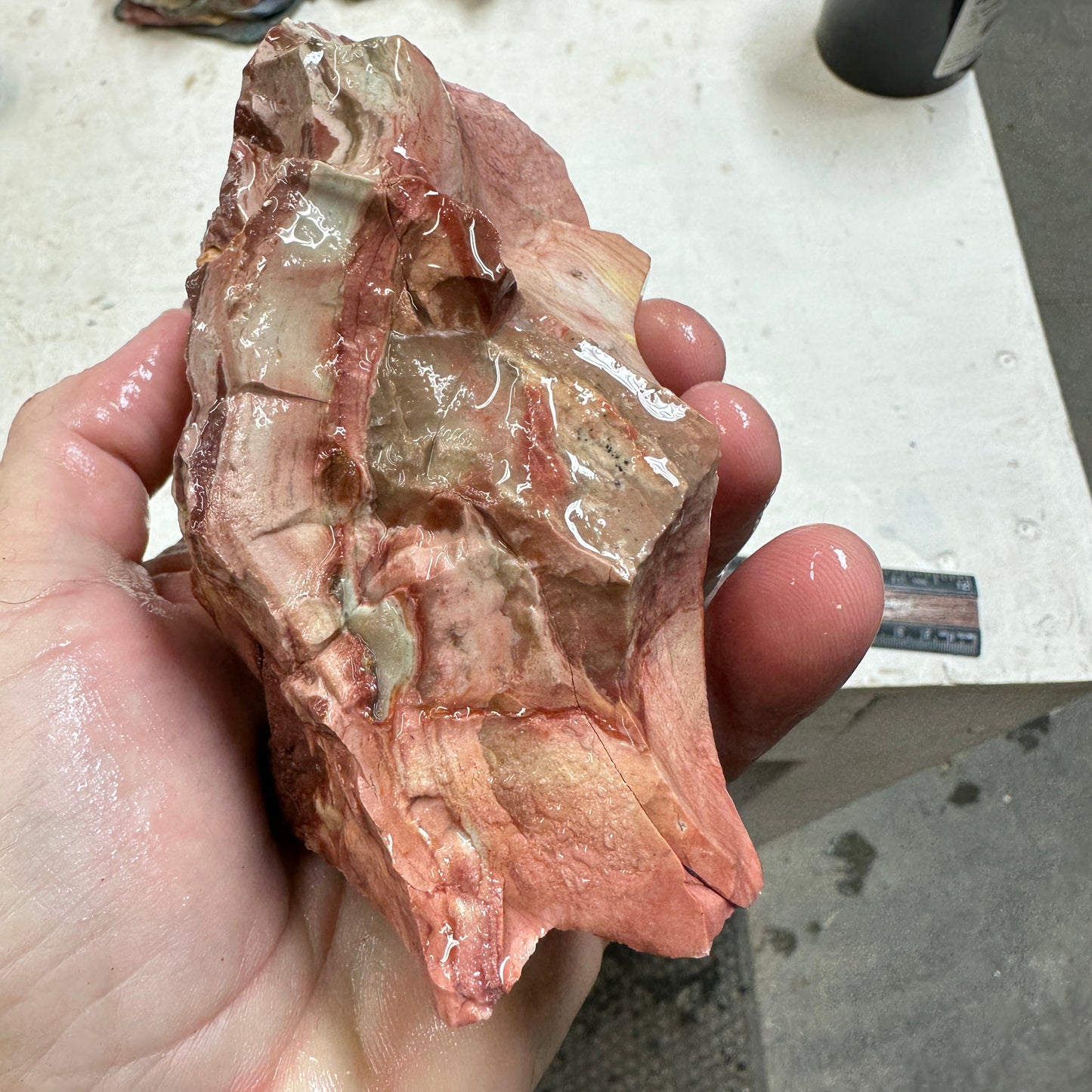 WINDY MOUNTAIN JASPER Faced Rough - 1.66 Pounds
