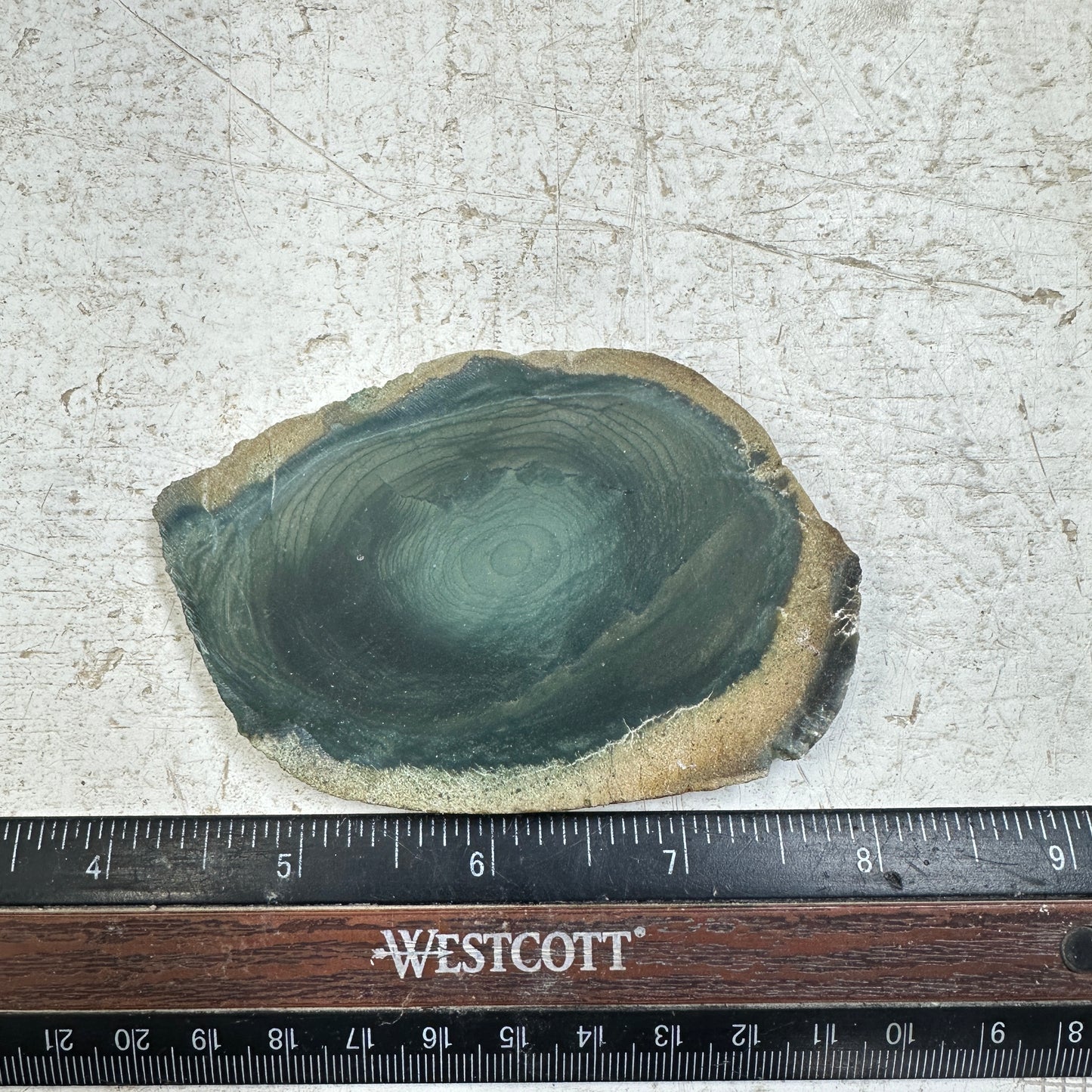 INDONESIAN POLYCHROME JASPER Slab - 79 grams