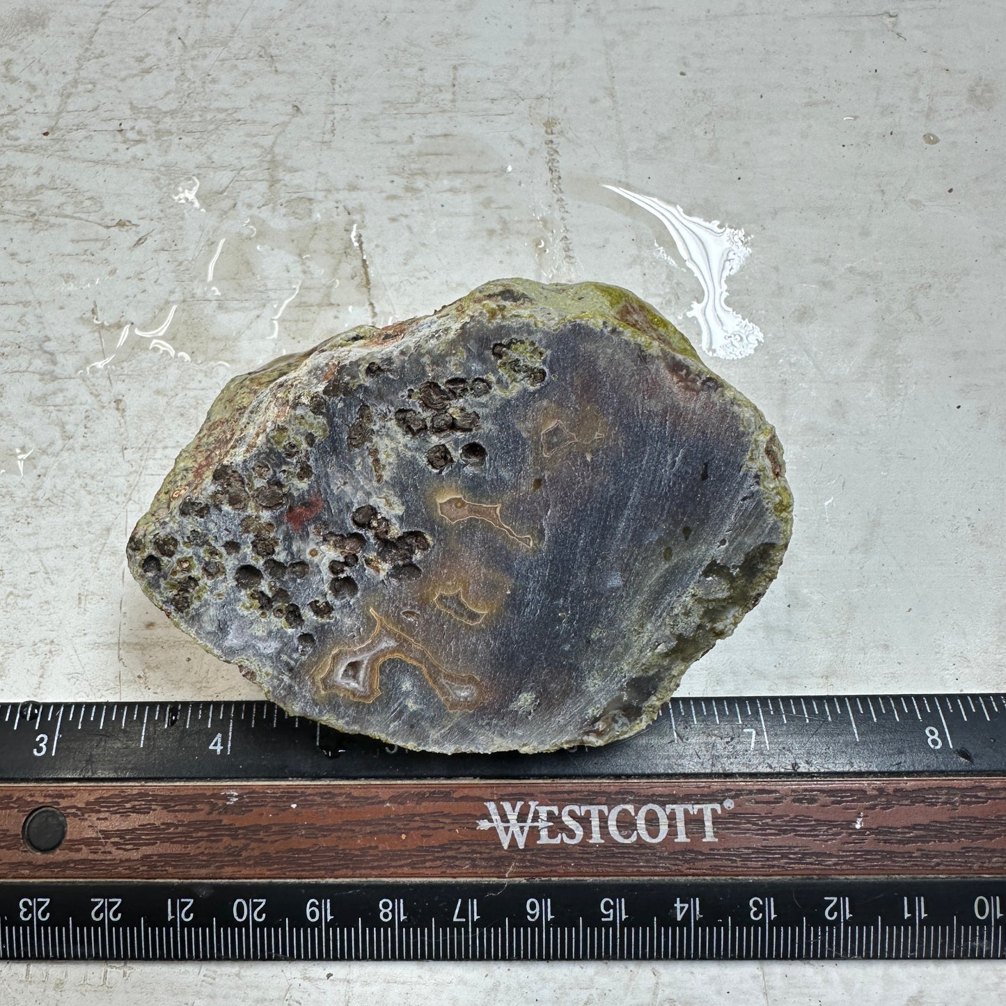 AGUA NUEVA AGATE Rough - 0.45 Pounds