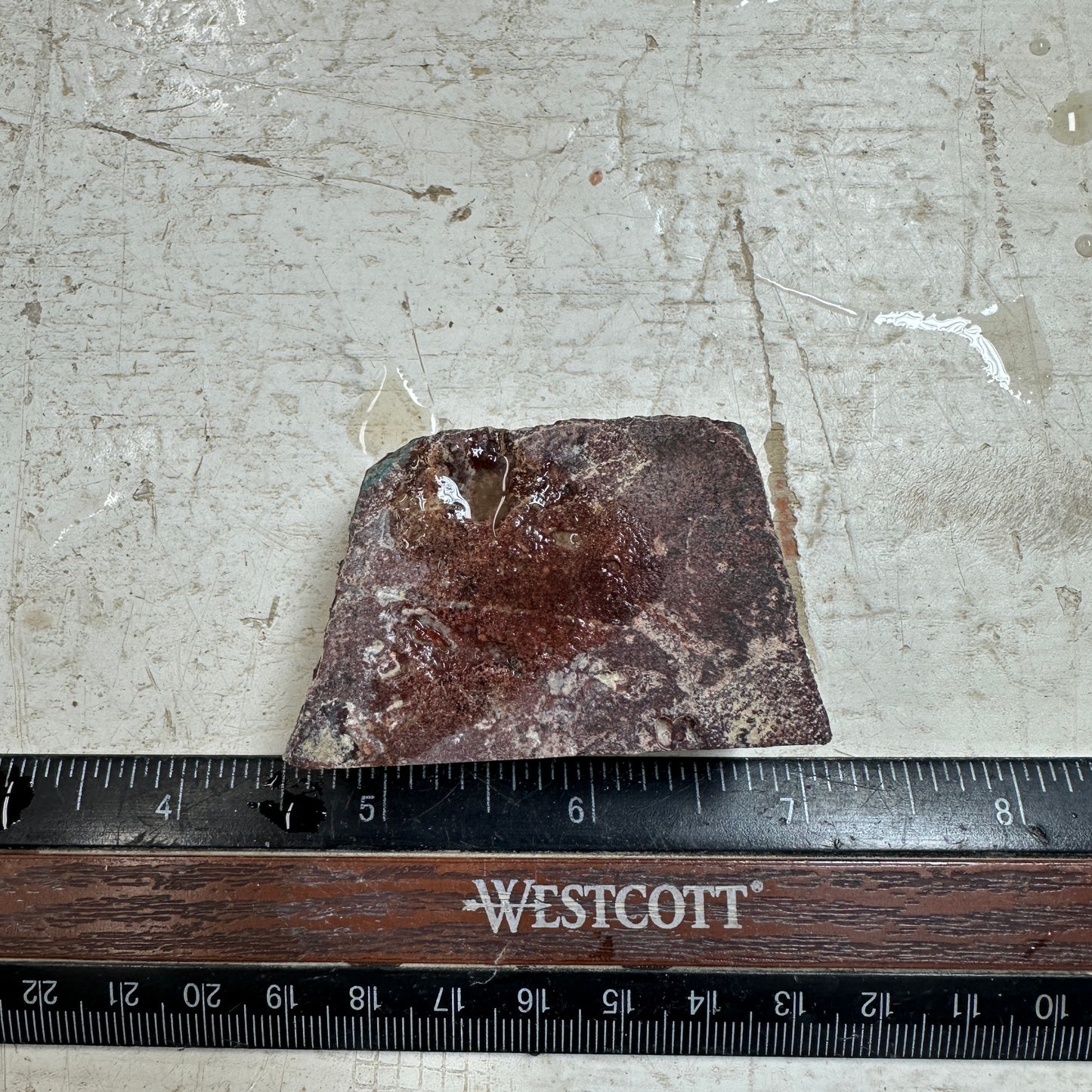 IDAHO WILDFIRE PLUME AGATE Faced Rough - 3.49oz