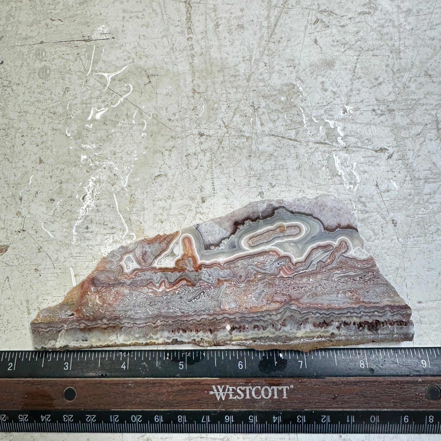 LAGUNA LACE AGATE Slab - 118 grams