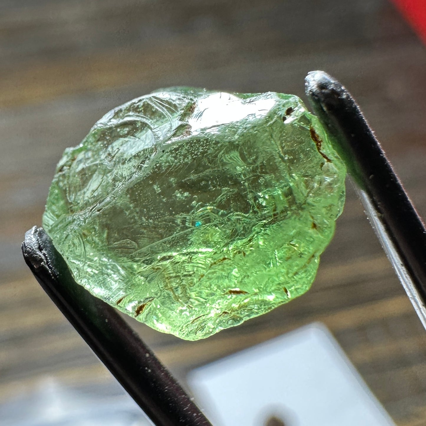 9.16ct GREEN DRAGON GARNET Facet Rough