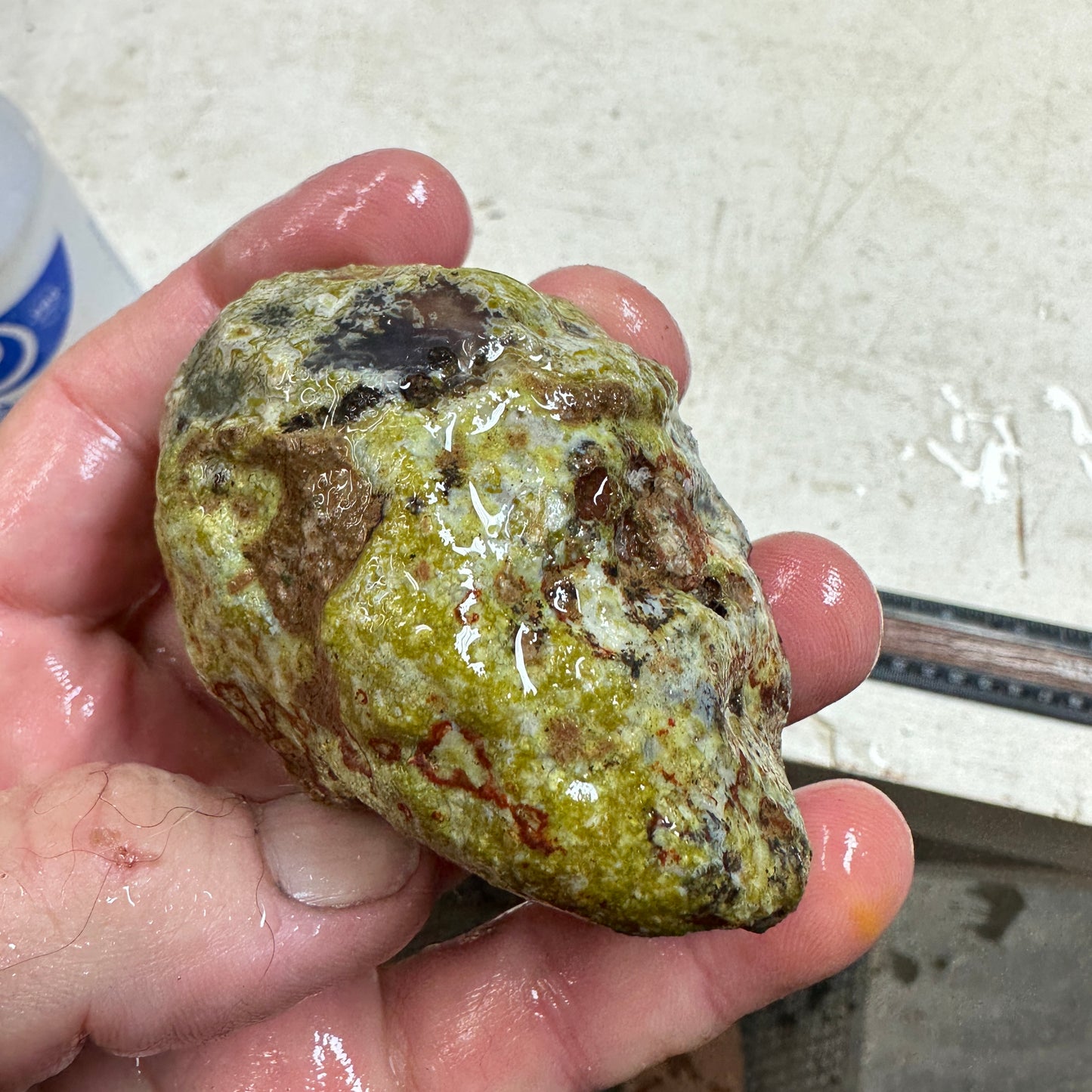 AGUA NUEVA AGATE Rough - 0.45 Pounds