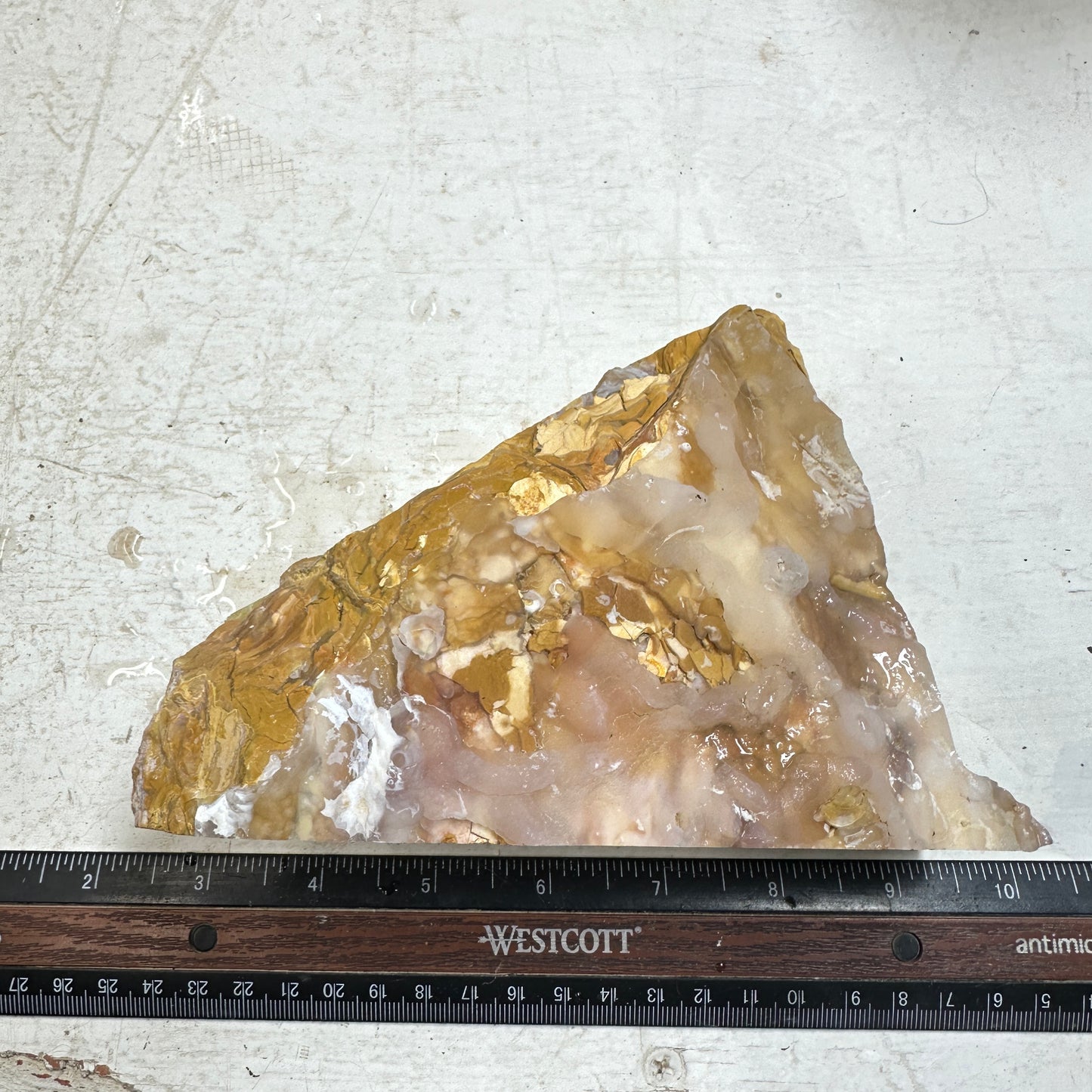 GOLDEN HOWARDITE Faced Rough - 2.58 Pounds