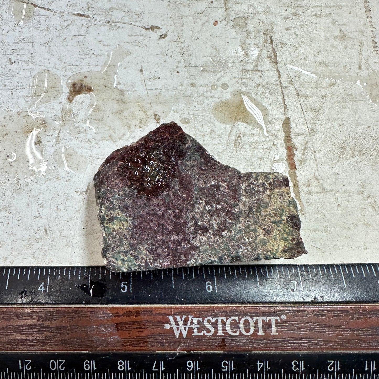 IDAHO WILDFIRE PLUME AGATE Faced Rough - 2.79oz