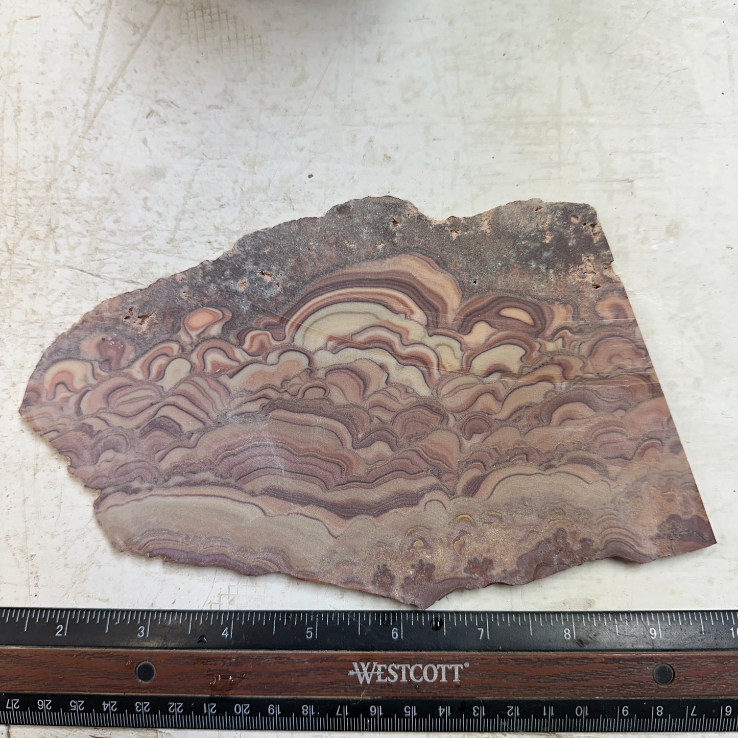 ROLLING HILLS DOLOMITE Slab - 309 grams