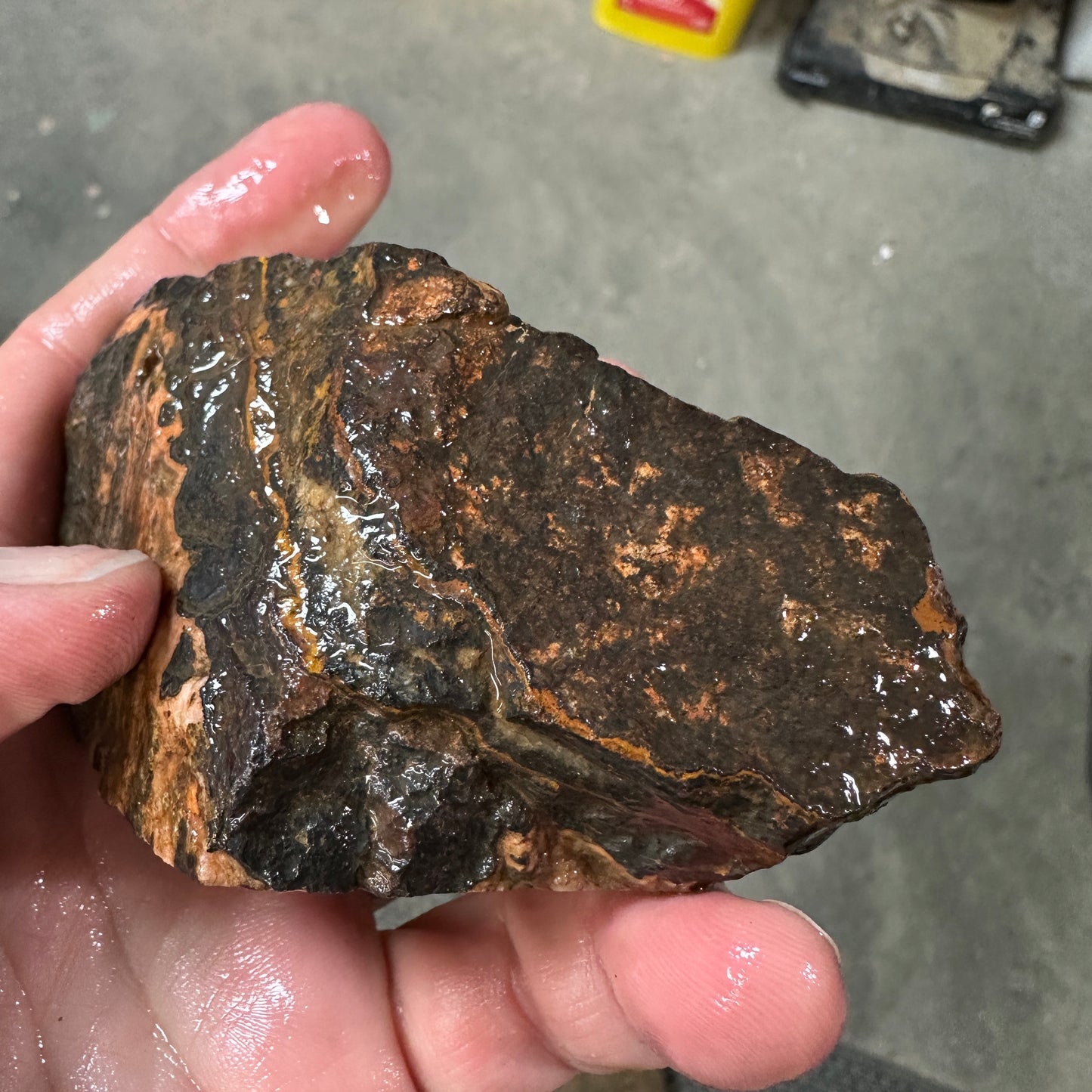 MOROCCAN SEAM AGATE Faced Rough - 0.94 Pounds