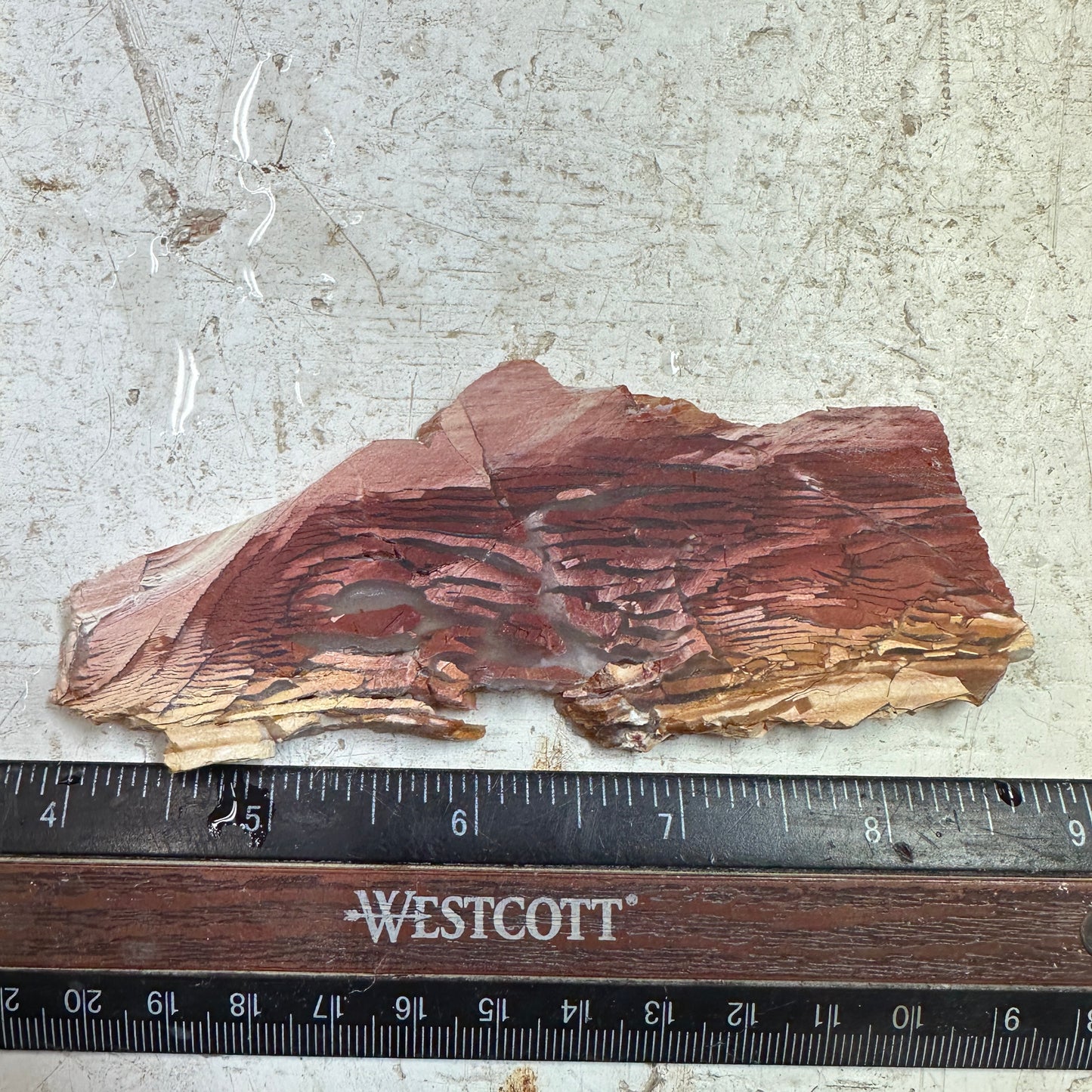 SUNSET HOWARDITE Slab - 51 grams