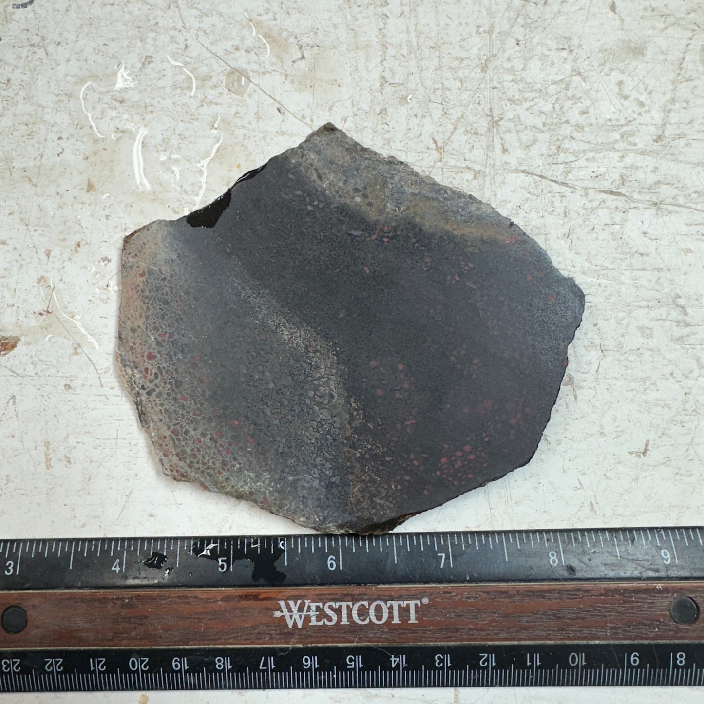 GEMBONE Dinosaur Bone Slab - 133 grams
