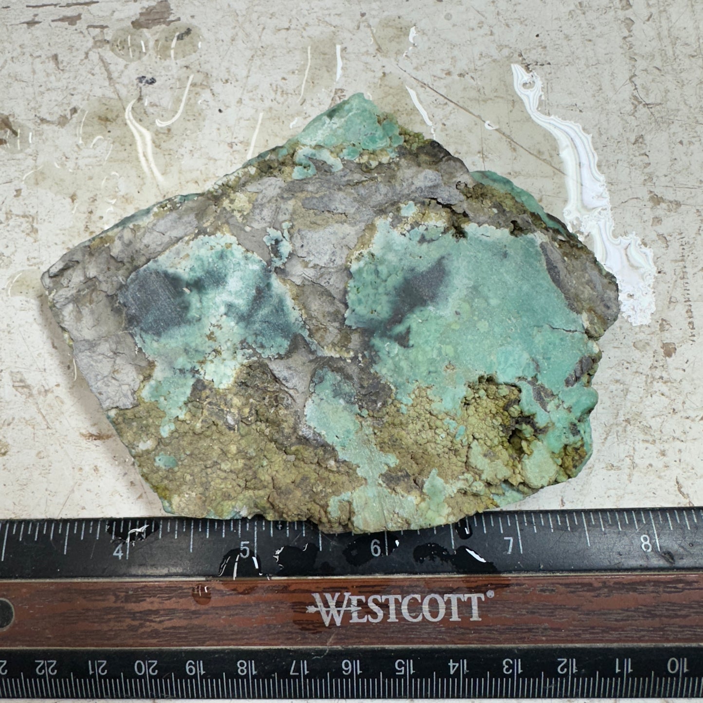 BROKEN ARROW VARISCITE Trimmed Rough Slab - 178 grams