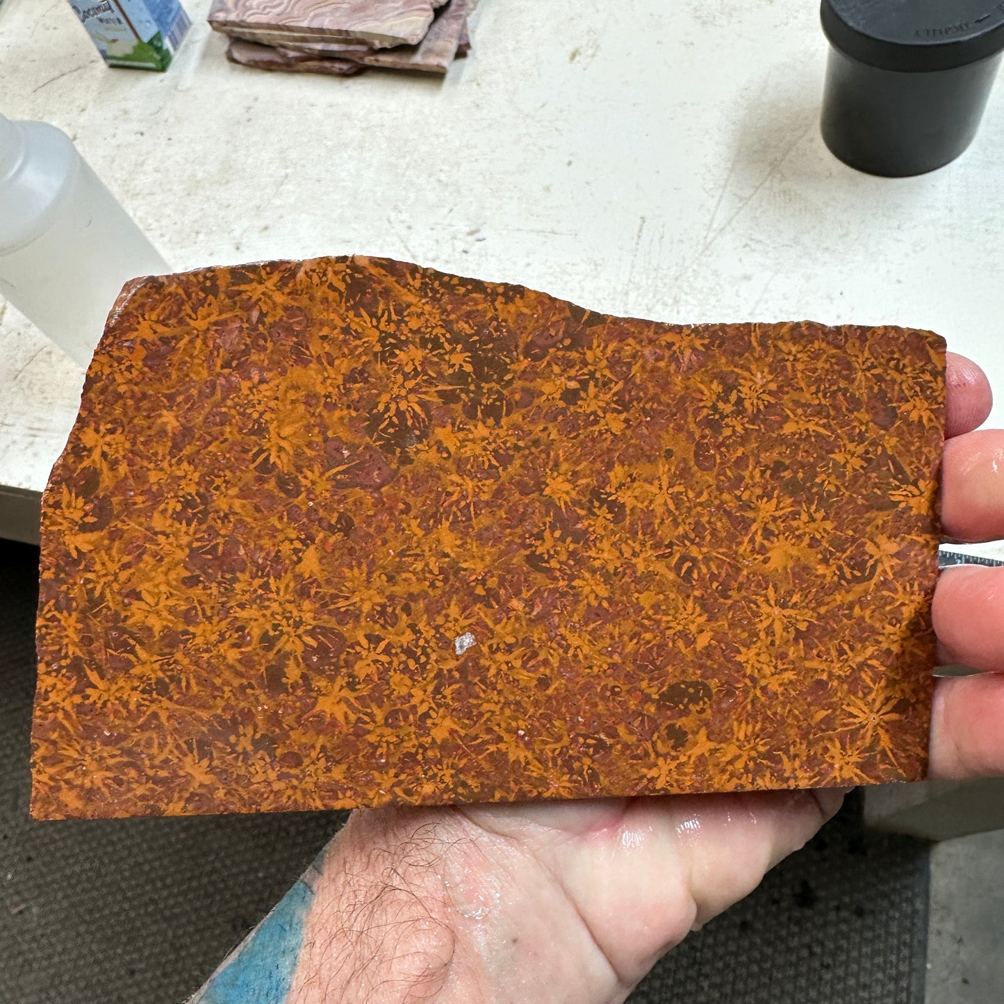 STARBURST RHYOLITE Slab - 254 grams