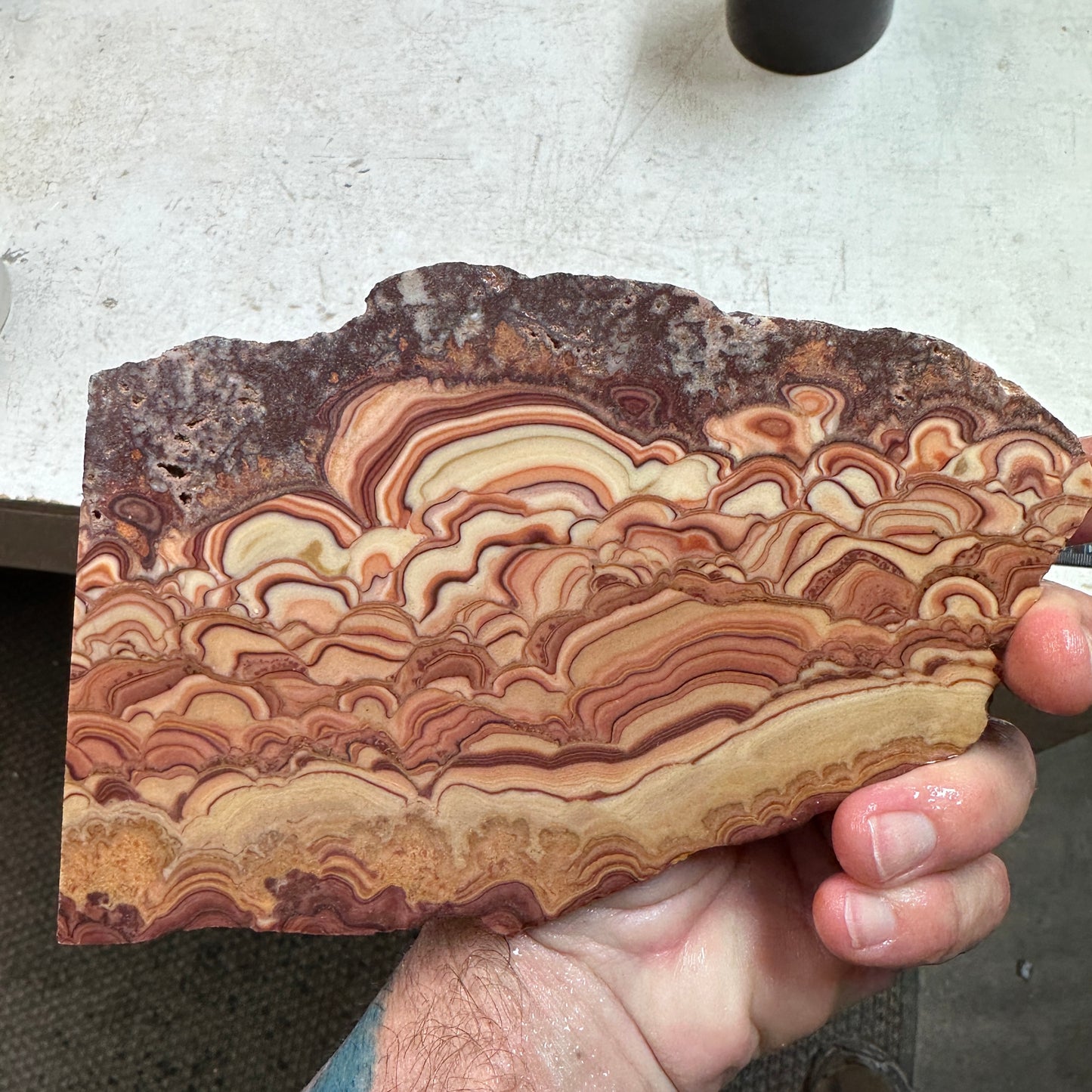 ROLLING HILLS DOLOMITE Slab - 309 grams