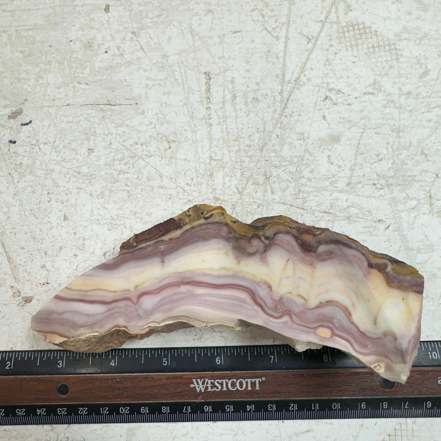 WINDY MOUNTAIN AGATE Faced Rough - 1.01 Pounds