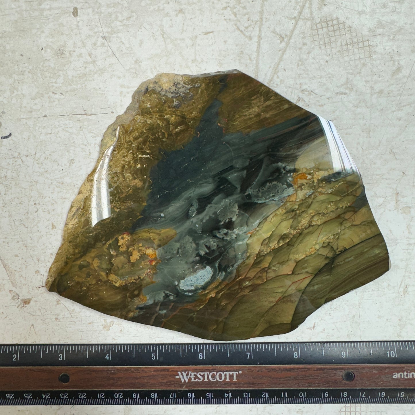 BLUE MOUNTAIN JASPER Polished Specimen Slab - 312 grams