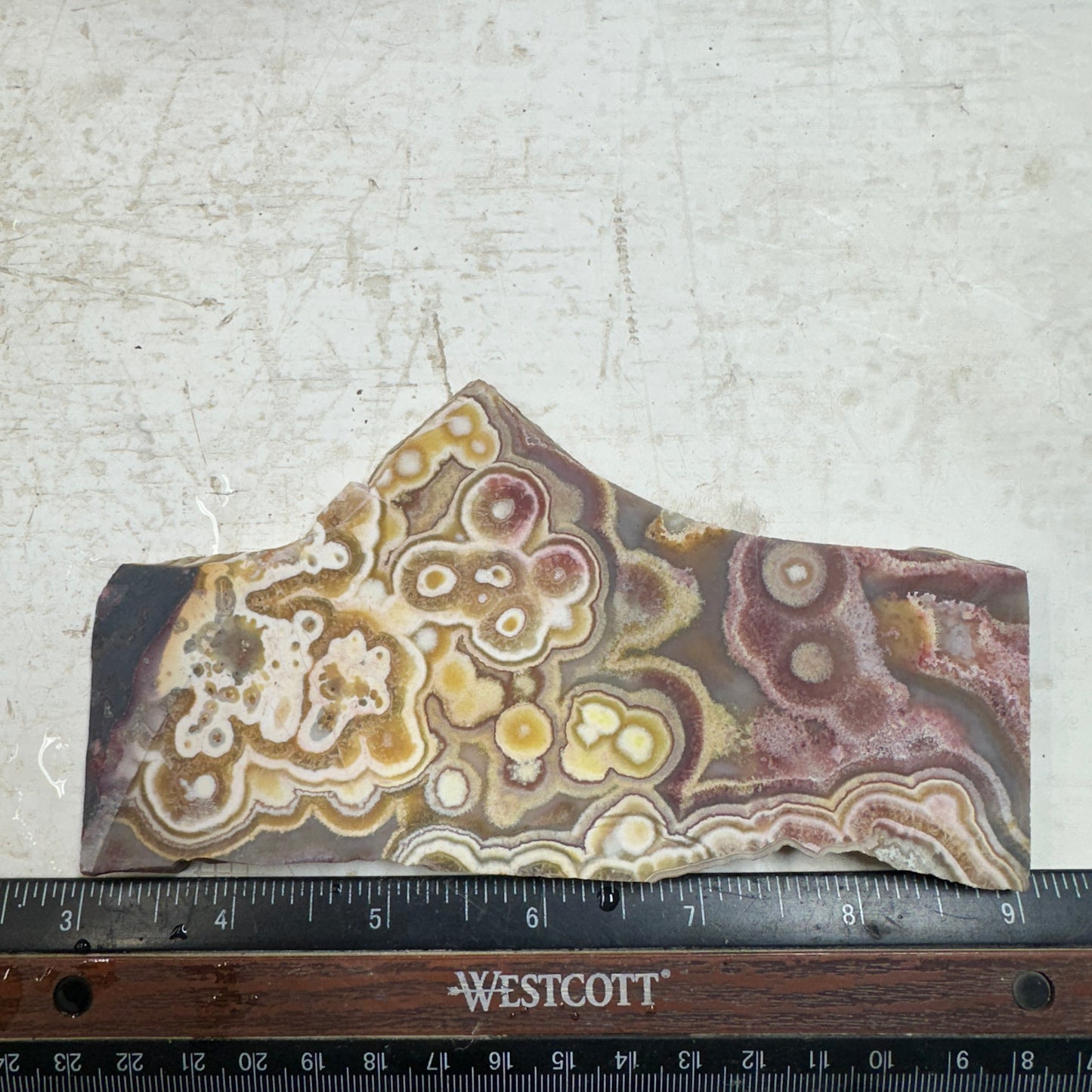 CRAZY LACE AGATE Slab - 165 grams