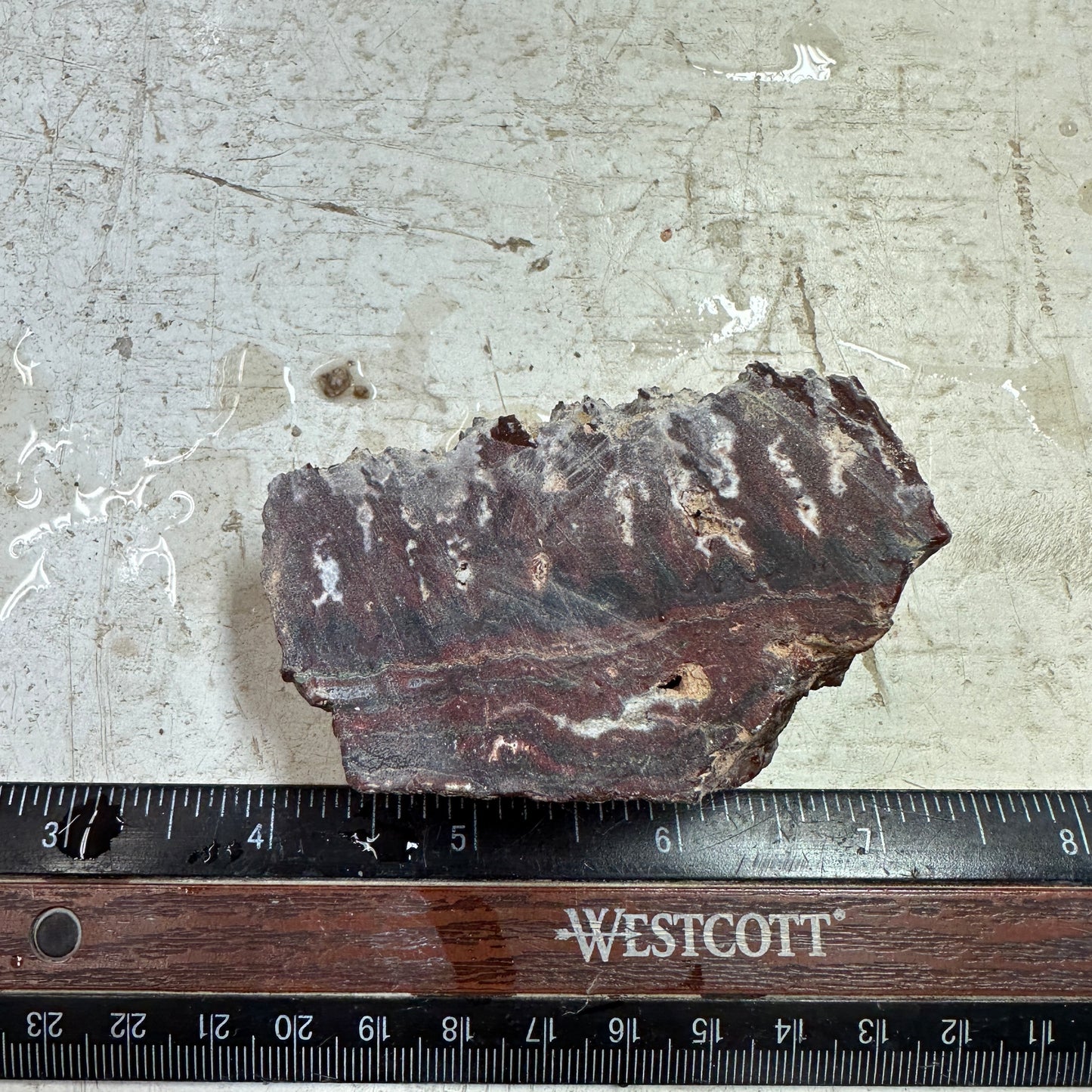 IDAHO WILDFIRE PLUME AGATE Faced Rough - 5.48oz