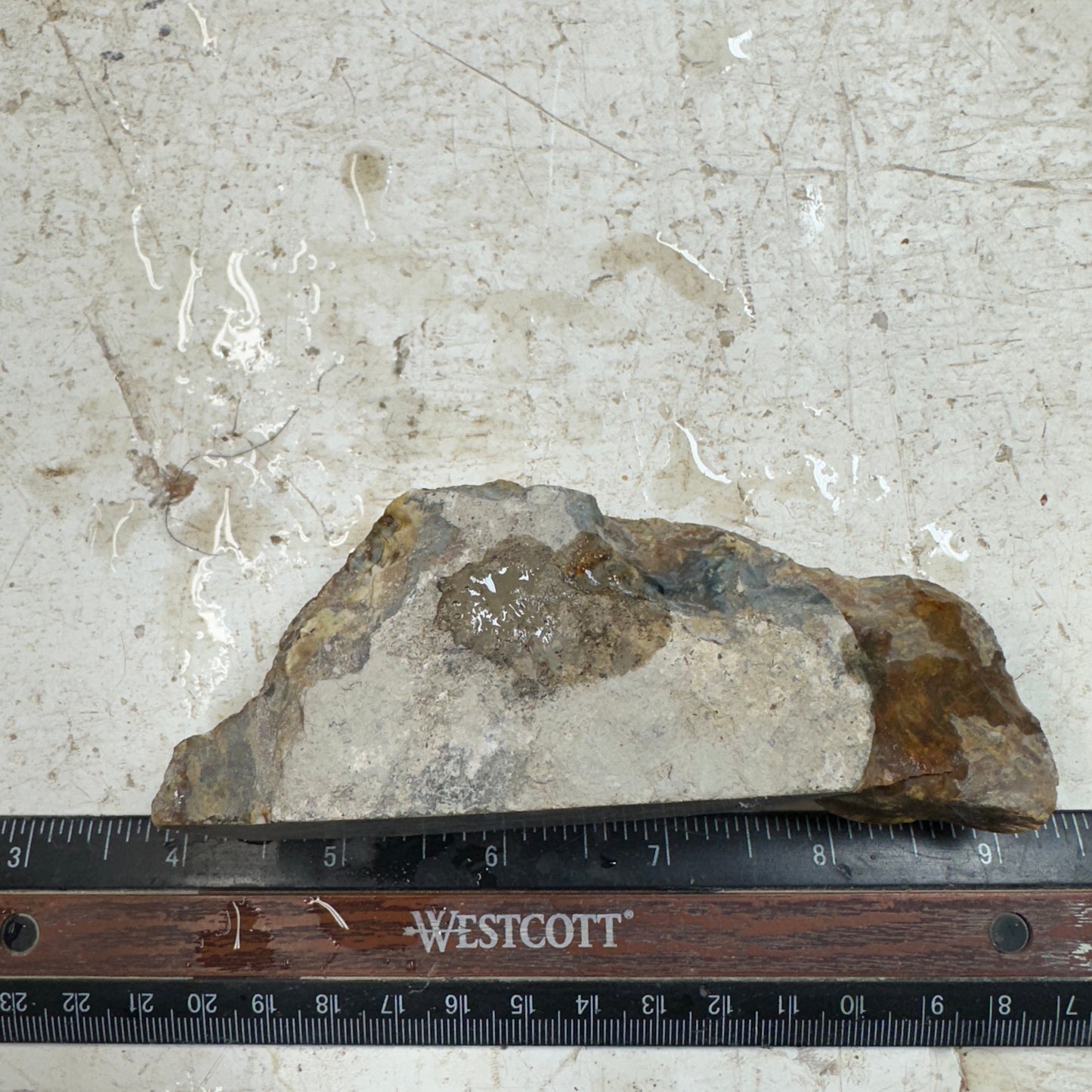 MORRISONITE JASPER Faced Rough - 0.59 Pounds