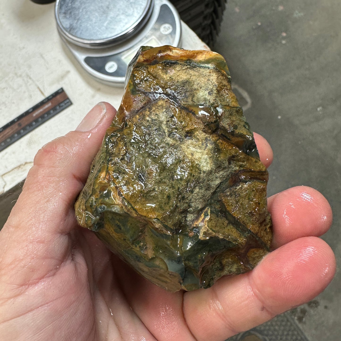 BLUE MOUNTAIN JASPER Rough - 0.99 Pounds
