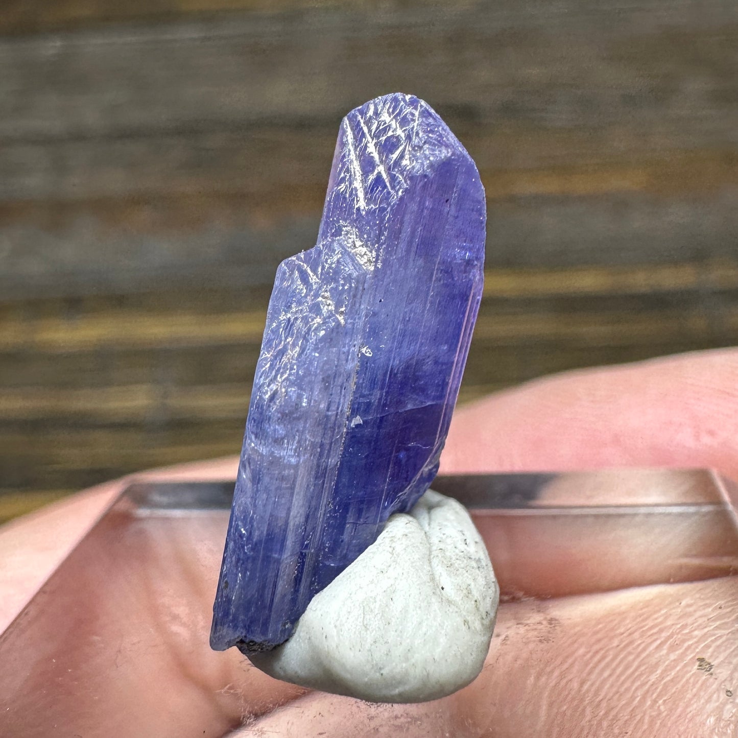 TANZANITE Crystal Display Mineral Specimen