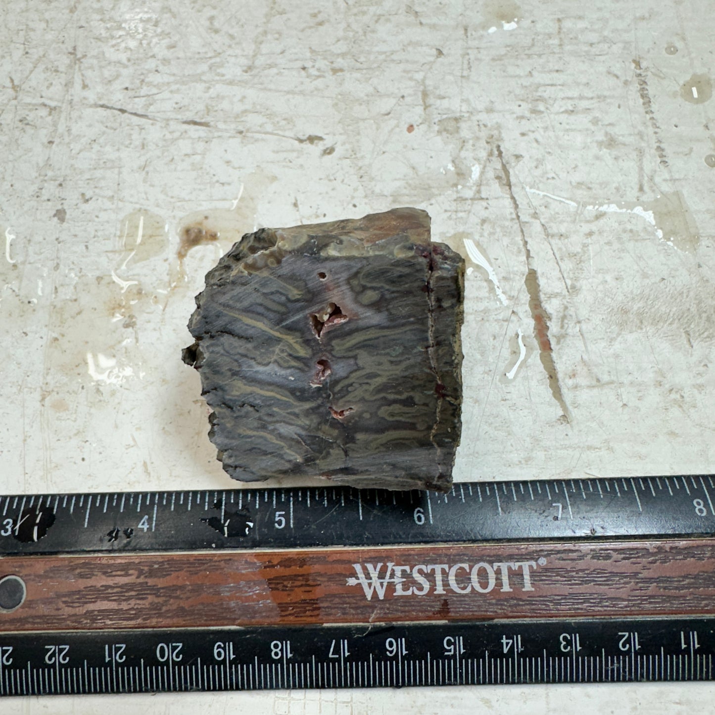 IDAHO WILDFIRE PLUME AGATE Faced Rough - 6.41oz