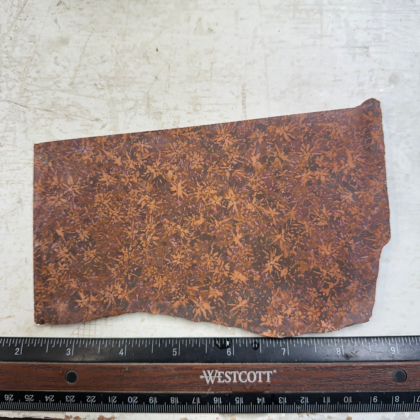 STARBURST RHYOLITE Slab - 260 grams