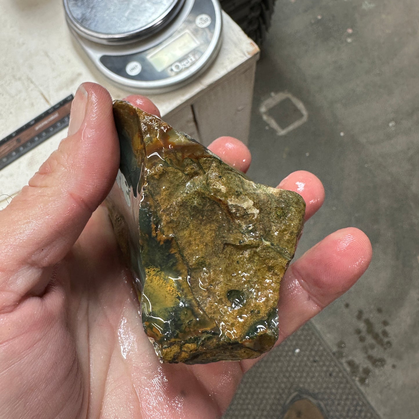 BLUE MOUNTAIN JASPER Rough - 0.99 Pounds