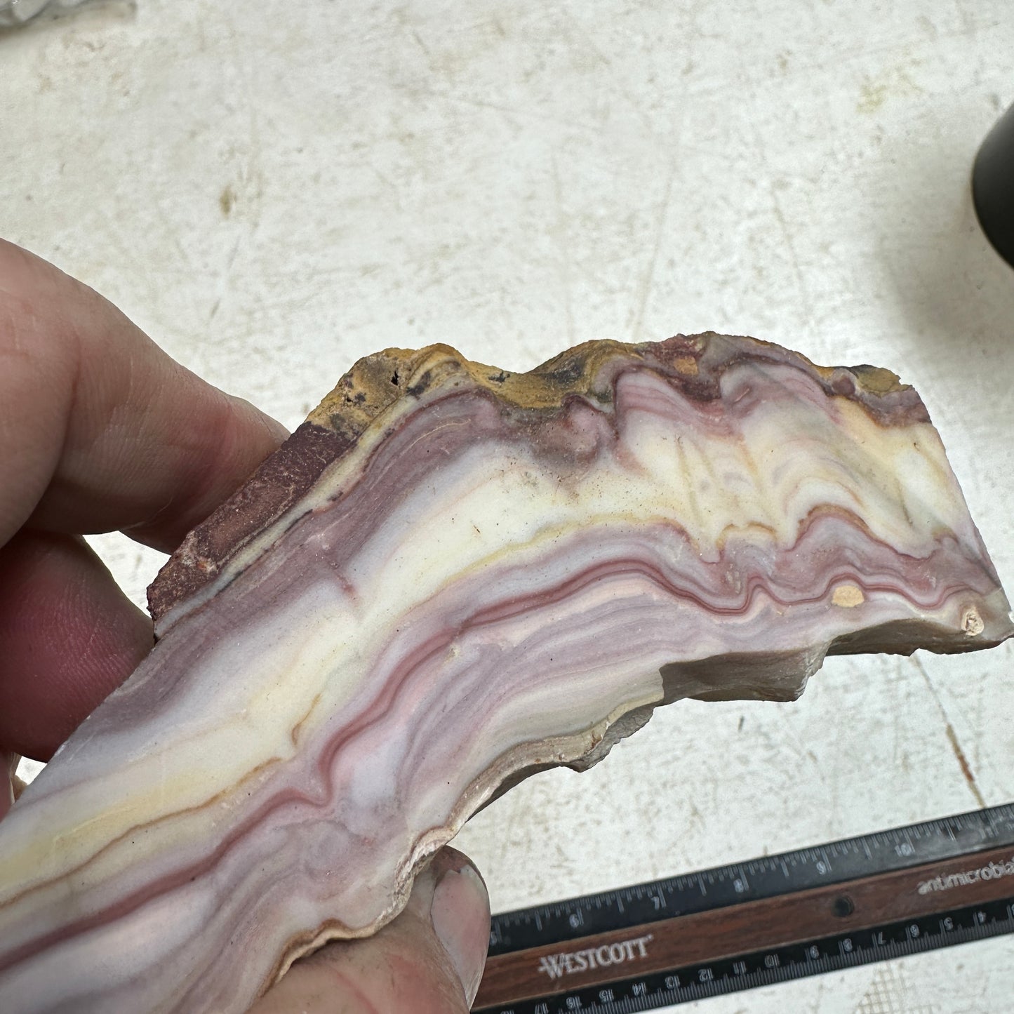 WINDY MOUNTAIN AGATE Faced Rough - 1.01 Pounds